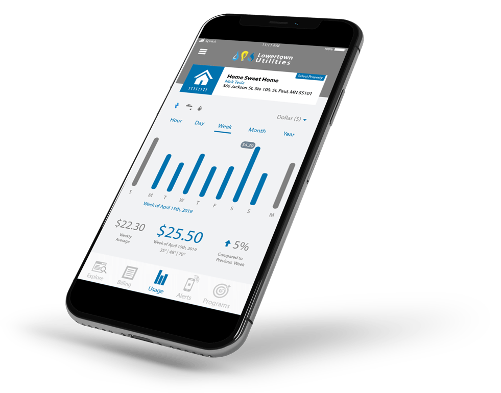 MyMeter Software on Mobile Phone